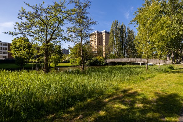 Medium property photo - Van der Waalsstraat 26, 3132 TM Vlaardingen